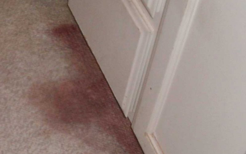 Carpet cleaning - Blood Stain removal,