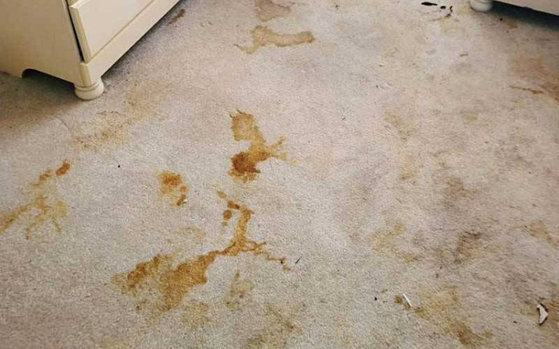 Crime Scene and Bio Hazard Cleaning